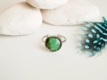 Prsteň Papilio palinurus