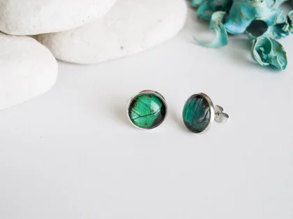 Náušnice Papilio palinurus