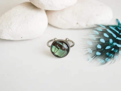 Prsteň Urania leilus