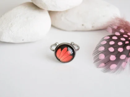 Prsteň Heliconius melpomene