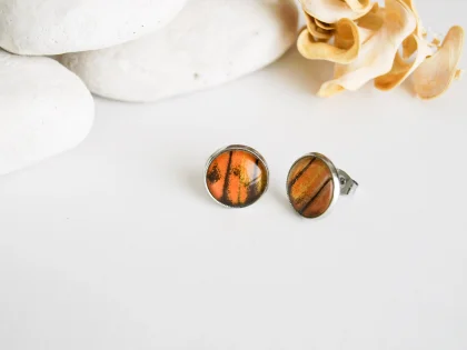 Náušnice Hebomoia glaucippe