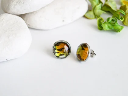 Náušnice Urania riphaeus