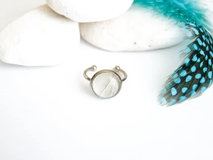 Prsteň Hebomoia glaucippe