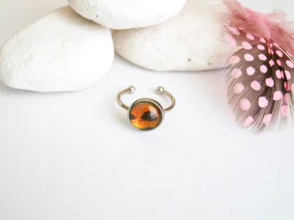 Prsteň Urania riphaeus