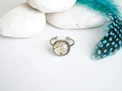 Prsteň Hebomoia glaucippe