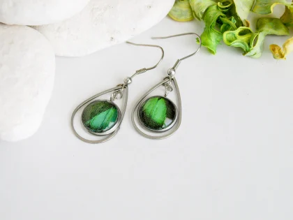 Náušnice Papilio palinurus